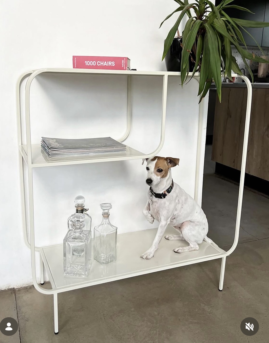 Instagram post featuring a white shelf